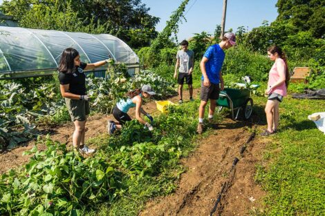 Students work at the gardens of Easton Urban Farm.