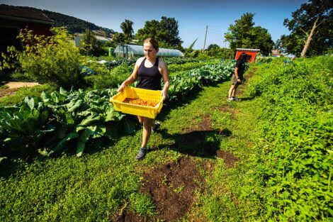 A student carries a container of produce at Easton Urban Farm.