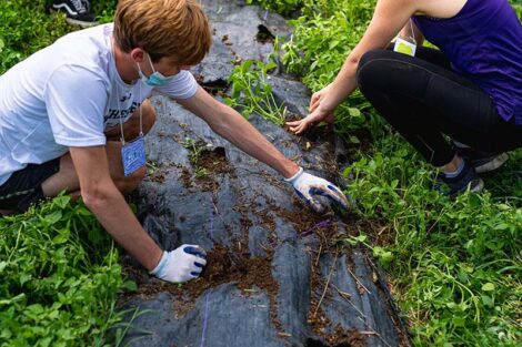 Students tend to crops at LaFarm