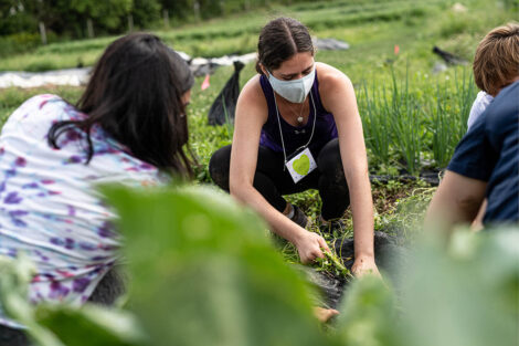 Two students, wearing masks, gather produce at LaFarm