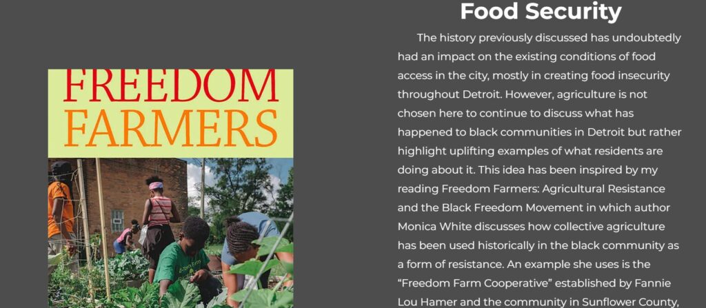 Freedom Fighters book cover alongside text from research