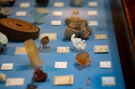 Rows of labeled rocks.