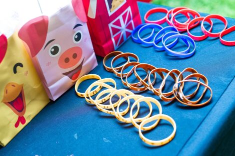 Rows of bracelets in front of chicken, pig, and farmhouse giftbags.