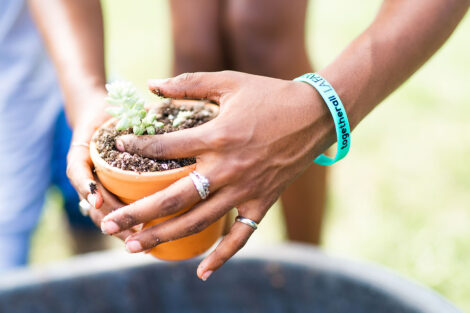 hands of a student pat dirt into a pot with a plant in the center