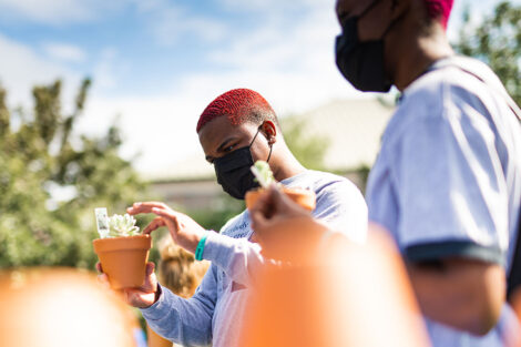 students plant plants in pots