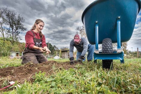Staff volunteers tend to a garden.
