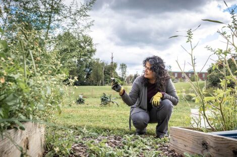 Staff volunteers tend to a garden.
