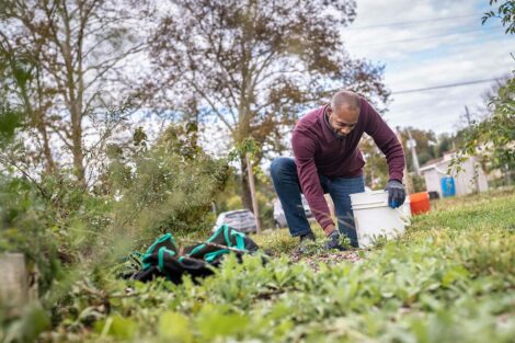 Staff volunteers tend to a garden.