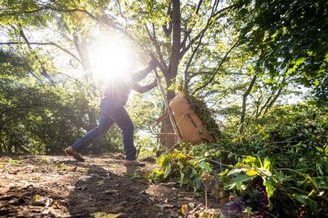 A staff volunteer dumps a wheelbarrow of dirt.