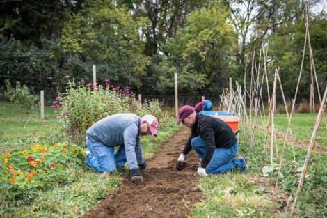 Two staff volunteers tend to a garden.