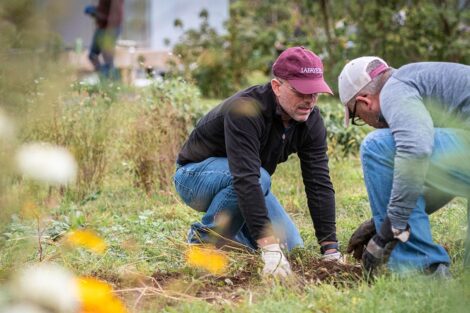 Two staff volunteers tend to a garden.