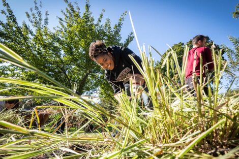 Sherryta Freeman pulls weeds.
