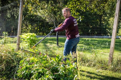 A staff volunteer pulls weeds.