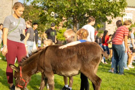staff member and young children pet donkey on Quad