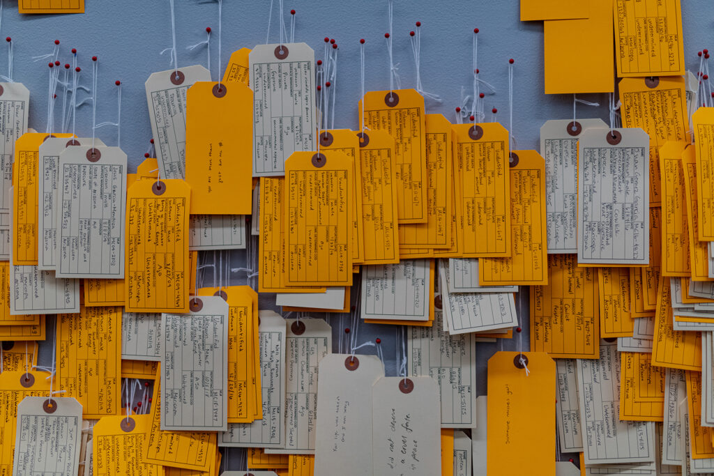 Toe tags representing deceased migrants from the Sonoran Desert are on display in Skillman Library as part of the exhibit Hostile Terrain 94.