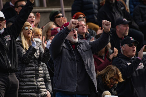 fans stand and cheer in the stands