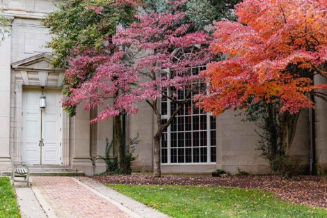 pink and red fall foliage near one of the doors to Colton Chapel