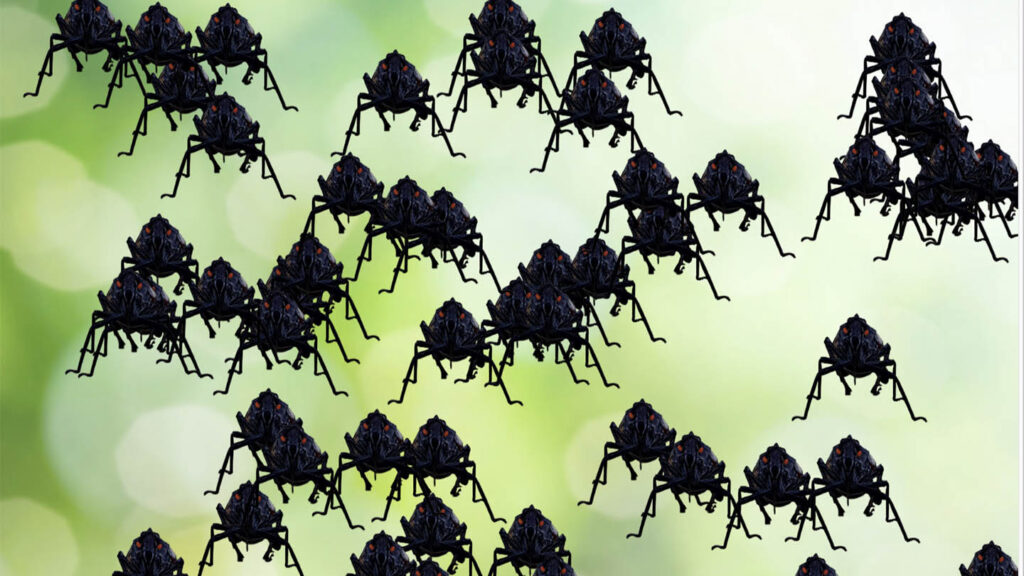 a large number of spotted lanternflies against a green backdrop
