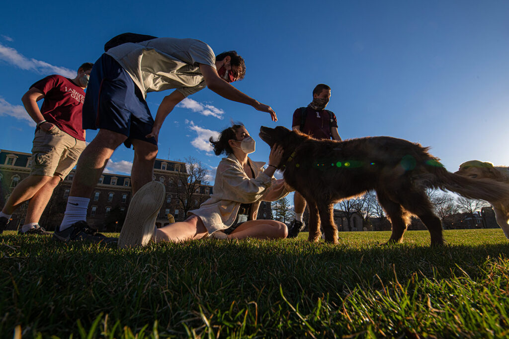 Students, masked, pet a golden retriever on the Quad.