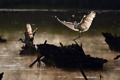 Selection from the War to Wonders series by Carol Guzy, who's speaking at Lafayette College on March 8.