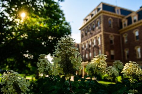Pardee Hall sits behind green tress and blue flowers