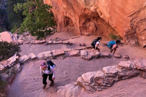 Students on the summer 2022 geology trip on a hike, working their way along the trails