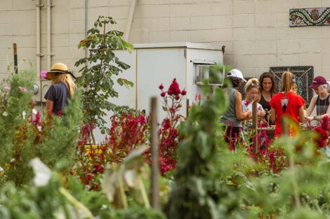 a group of students work on a farm, with wildflowers in the foreground