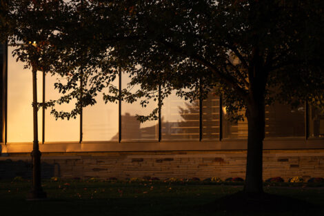 A tree in front of Skillman Library