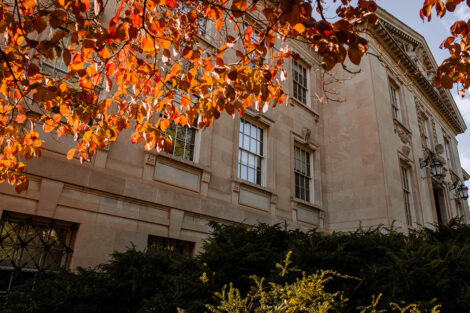 A tree with orange leaves frames Kirby Hall of Civil Rights
