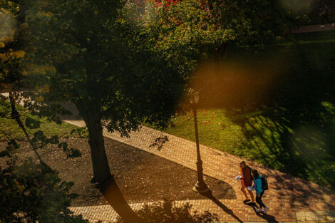 A brick path on campus from a higher view.