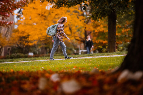 Student walks past bright orange tree.